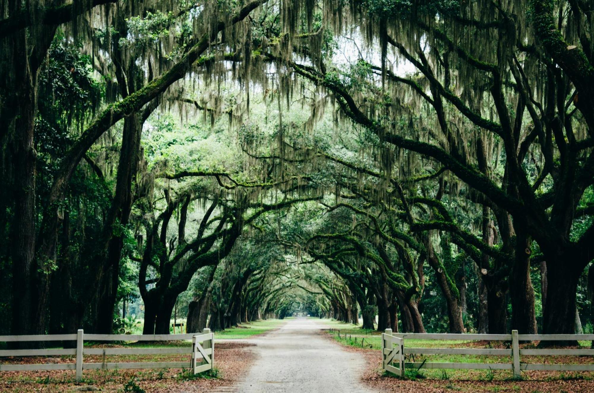 Kimpton Brice Hotel By Ihg Savannah Bagian luar foto